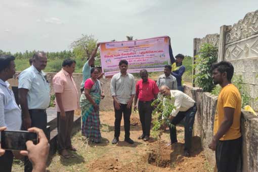 Tree Plantation