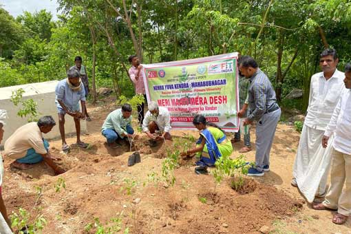 Tree Plantation