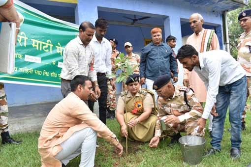 Tree Plantation
