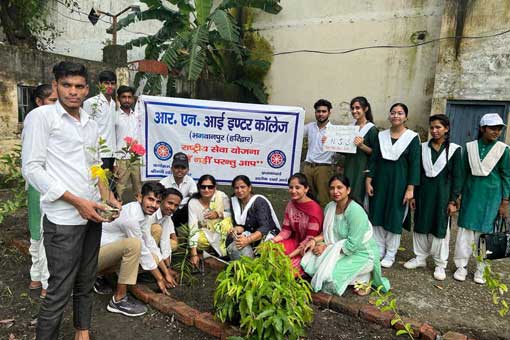 Tree Plantation