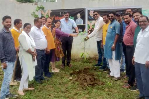 Tree Plantation