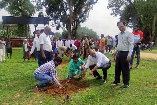 Tree Plantation