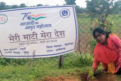Tree Plantation