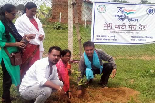 Tree Plantation