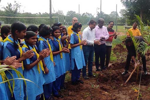 Tree Plantation