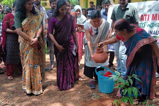 Tree Plantation