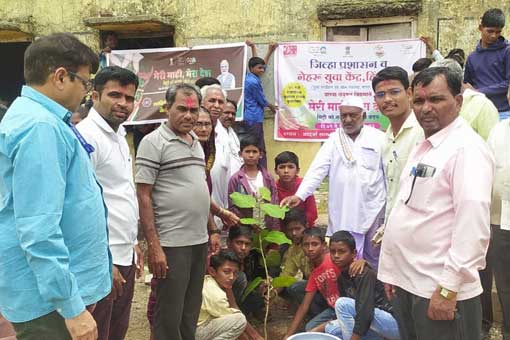 Tree Plantation